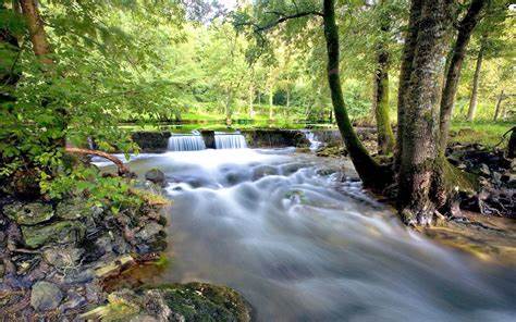 In the Flow