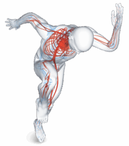BEMER Circulation