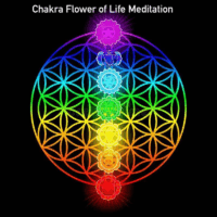Flower of Life Alignment | Meditation Download  | Chakra Balancing